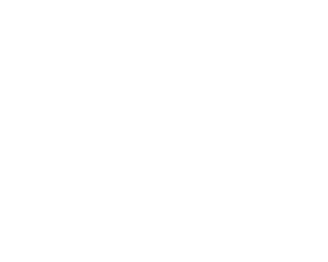 beach and palm